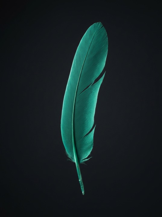 Setfree feather