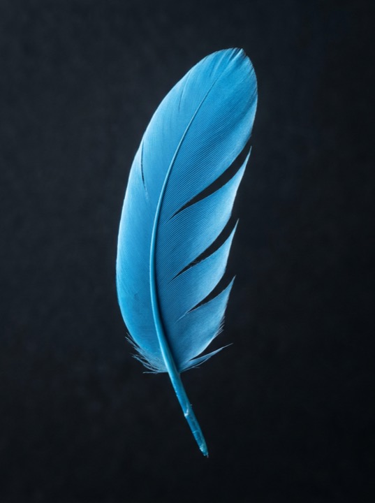 Feather of the CoreBone